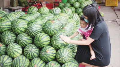 市民到夏西水果批发市场挑选西瓜.